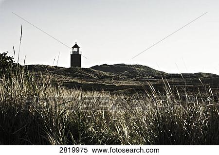 Field with lighthouse in background, Sylt, Schleswig-Holstein, Germany View Large Photo Image Stock Photography - Field with lighthouse in background, Sylt, Schleswig-Holstein, Germany . Fotosearch