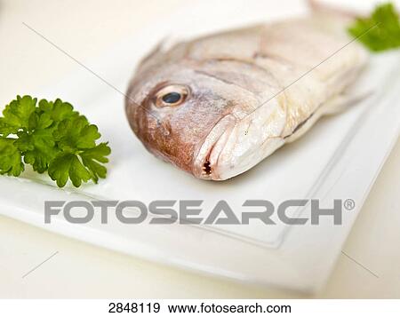 Fish served in tray View Large Photo Image Stock Photo - Fish served in tray . Fotosearch