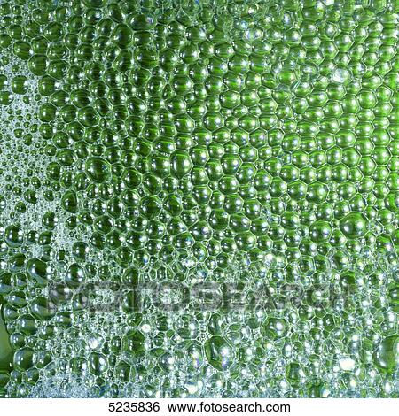 Stock Photograph - Foam . Fotosearch