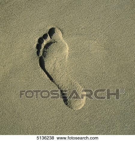 Footprints in the sand View Large Photo Image Stock Photo - Footprints in the sand . Fotosearch