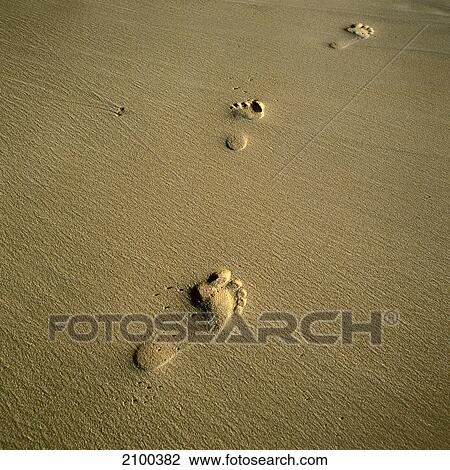 Footprints on beach View Large Photo Image Stock Image - Footprints on beach . Fotosearch