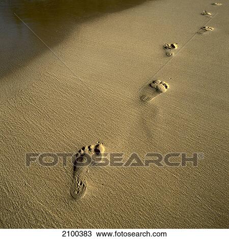 Footprints on beach View Large Photo Image Stock Image - Footprints on beach . Fotosearch