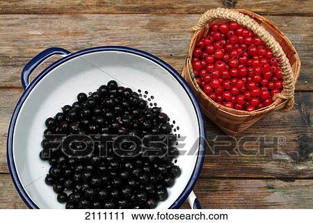 High angle view of berries in baskets View Large Photo Image Stock Image - High angle view of berries in baskets . Fotosearch