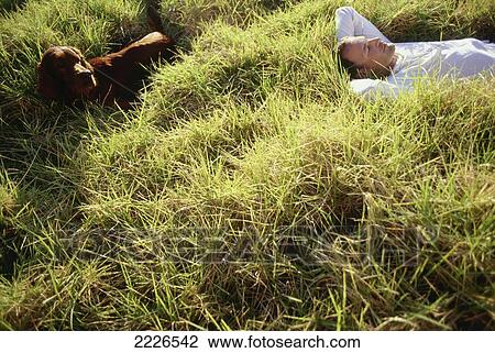 High angle view of man lying on grass with dog View Large Photo Image Stock Image - High angle view of man lying on grass with dog . Fotosearch