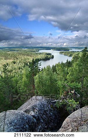 Stock Image - High angle view of river flowing through forest . Fotosearch
