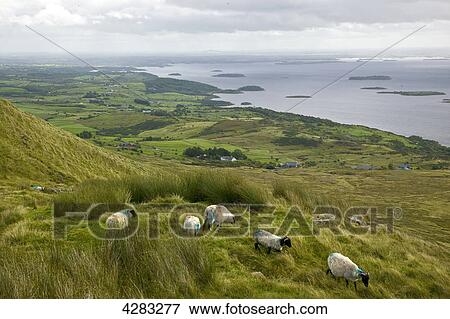Joyce's Country, Ireland View Large Photo Image Stock Photo - Joyce's Country, Ireland . Fotosearch