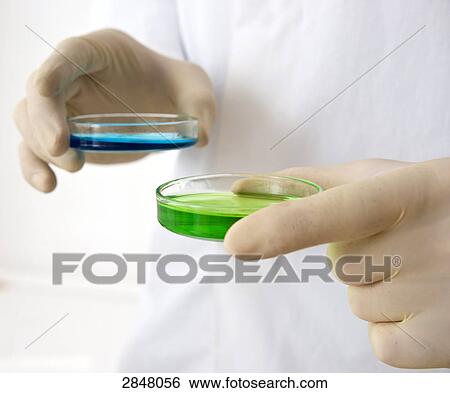 Stock Photograph - Laboratory technician holding two Patridishes of chemicals . Fotosearch