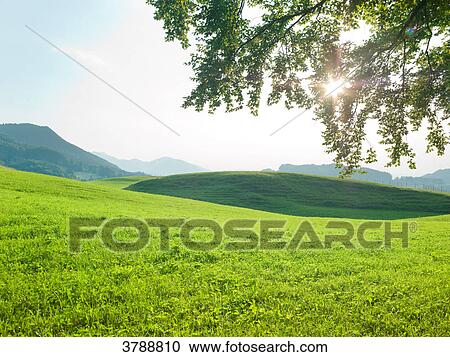 Stock Image - Landscape, Kochelsee, Bavaria, Germany, Europe . Fotosearch