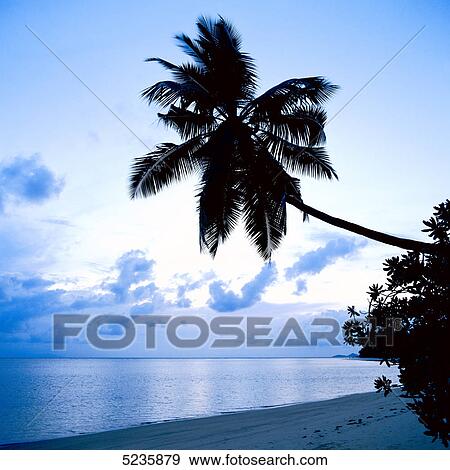 Lonely beach View Large Photo Image Stock Photo - Lonely beach . Fotosearch