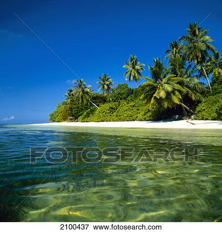 Stock Photo - Lonely laguna . Fotosearch