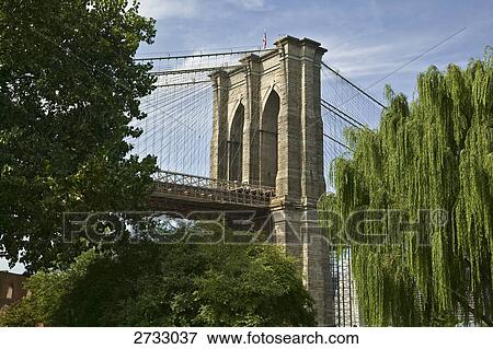Low angle view of bridge View Large Photo Image Stock Photo - Low angle view of bridge . Fotosearch