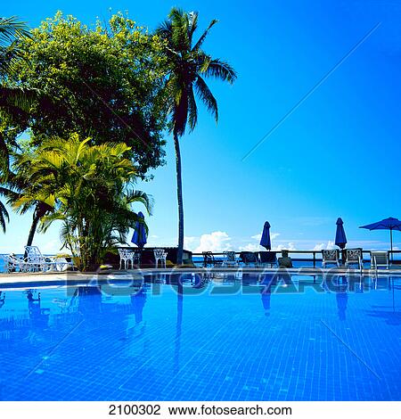 Stock Image - Palm trees and lounge chairs at poolside . Fotosearch