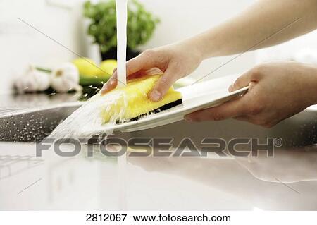 Person washing plate in kitchen View Large Photo Image Stock Photo - Person washing plate in kitchen . Fotosearch