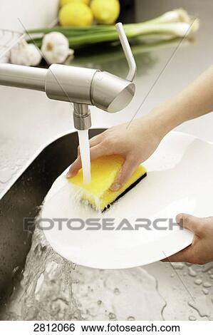 Person washing plate in kitchen View Large Photo Image Stock Photograph - Person washing plate in kitchen . Fotosearch