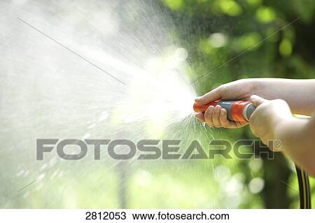 Person watering with hose View Large Photo Image Stock Image - Person watering with hose . Fotosearch