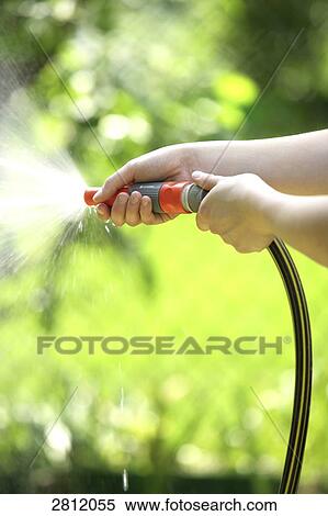 Person watering with hose View Large Photo Image Stock Photography - Person watering with hose . Fotosearch