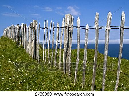 Stock Image - Picket fence at seaside, Scotland, Great Britain . Fotosearch