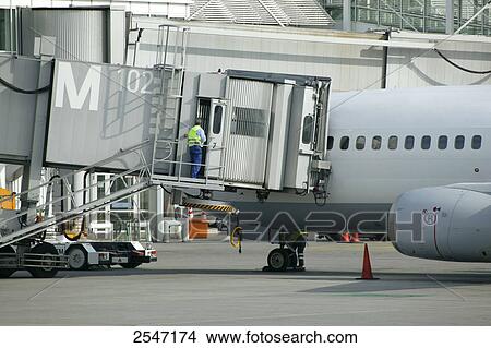 Picture - Rear view of man standing on ramp at airport . Fotosearch