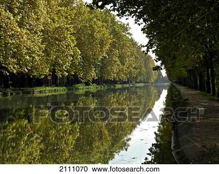 Reflection of trees in water View Large Photo Image Stock Image - Reflection of trees in water . Fotosearch