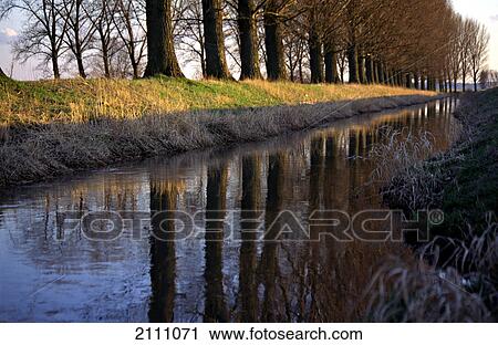 Stock Image - Reflection of trees in water . Fotosearch