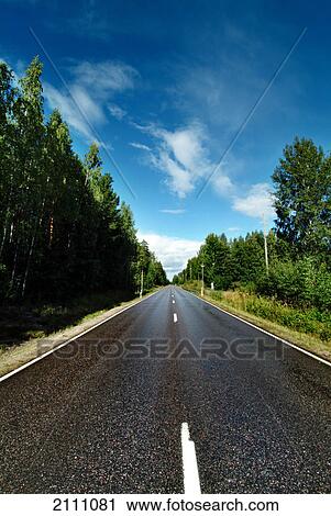 Stock Image - Road running through forest . Fotosearch