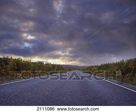 Stock Photograph - Road running through forest . Fotosearch