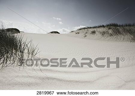 Stock Photo - Sand dune in desert . Fotosearch