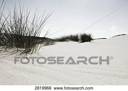 Stock Photo - Sand dune in desert . Fotosearch