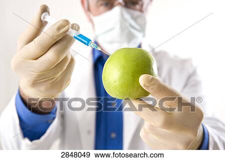 Stock Photo - Scientist injecting granny smith apple . Fotosearch