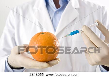 Stock Photography - Scientist injecting orange . Fotosearch
