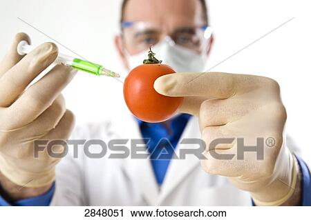 Stock Image - Scientist injecting tomato . Fotosearch