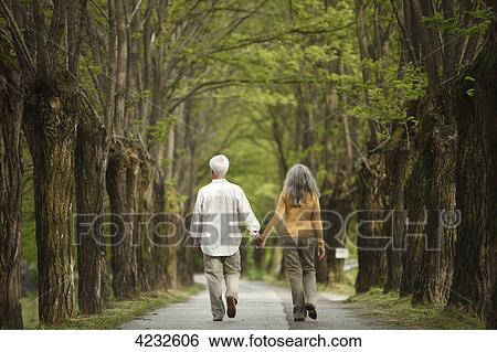 Senior couple walking hand in hand on a tree-lined road, Italy, Telve View Large Photo Image Stock Photograph - Senior couple walking hand in hand on a tree-lined road, Italy, Telve . Fotosearch