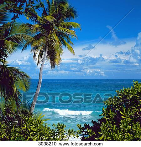 Seychelles Islands, beach View Large Photo Image Stock Image - Seychelles Islands, beach . Fotosearch