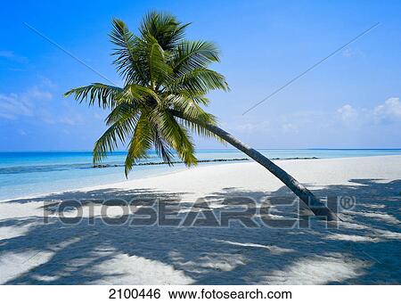 Seychelles Islands, lonely beach View Large Photo Image Stock Photograph - Seychelles Islands, lonely beach . Fotosearch