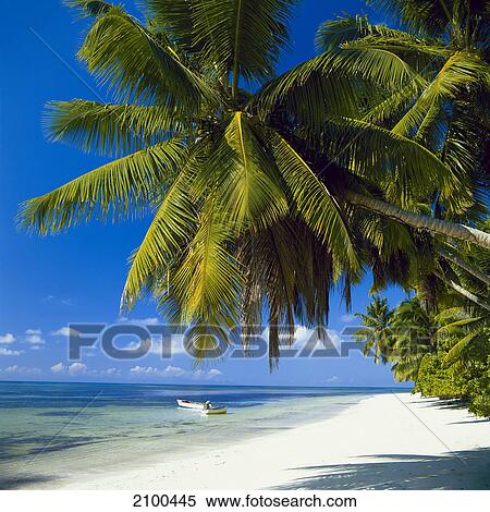 Seychelles Islands, lonely beach View Large Photo Image Stock Photography - Seychelles Islands, lonely beach . Fotosearch