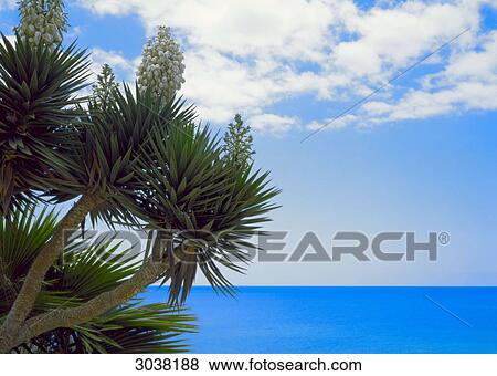 Stock Photo - Shore . Fotosearch