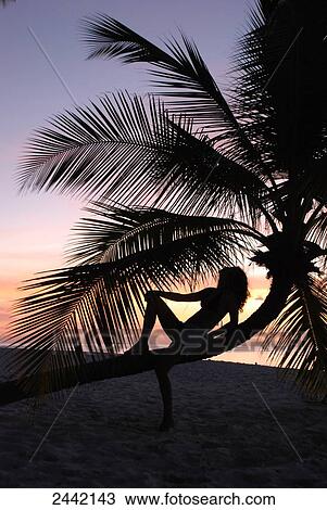 Stock Image - Silhouette of woman sitting on tree trunk on the beach . Fotosearch