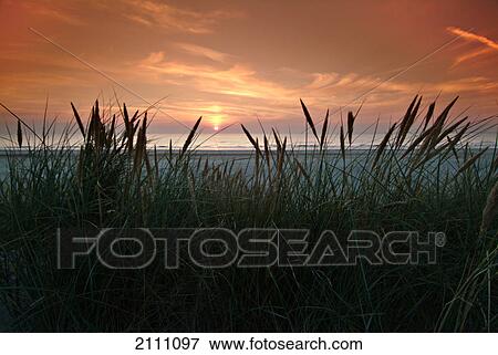 Sunset over sea View Large Photo Image Stock Photo - Sunset over sea . Fotosearch