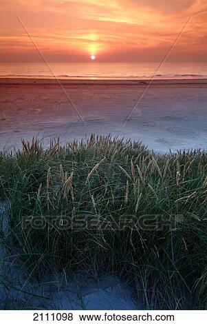 Sunset over sea View Large Photo Image Stock Photo - Sunset over sea . Fotosearch