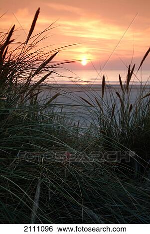 Sunset over sea View Large Photo Image Stock Photograph - Sunset over sea . Fotosearch