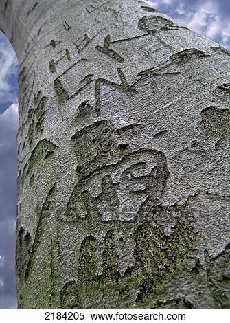 Stock Photography - Text carved on tree trunk . Fotosearch