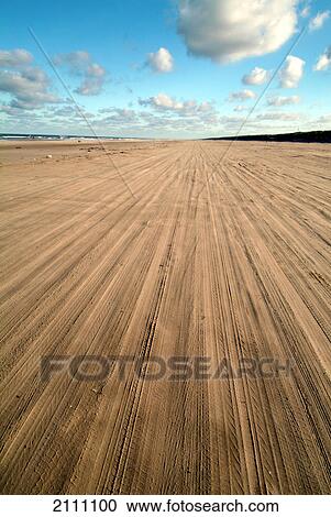 Tire tracks on beach View Large Photo Image Stock Image - Tire tracks on beach . Fotosearch