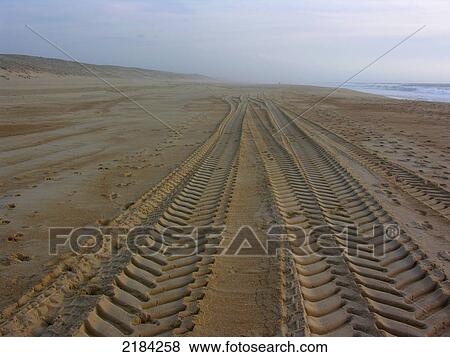 Tire tracks on beach View Large Photo Image Stock Photo - Tire tracks on beach . Fotosearch
