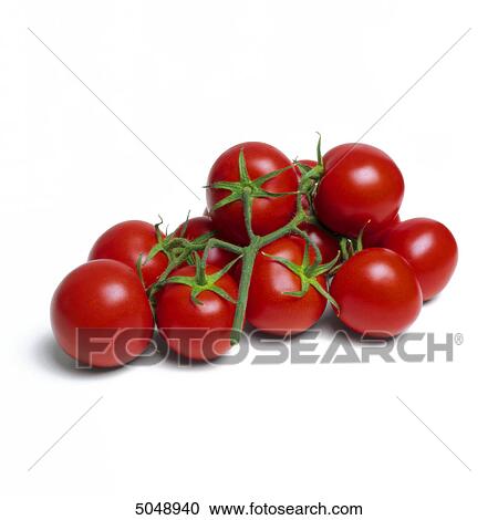 Tomatoes View Large Photo Image Stock Image - Tomatoes . Fotosearch