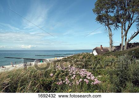 Stock Image - Tourists on beach . Fotosearch