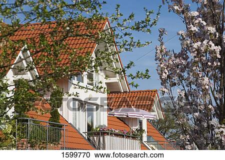 Trees in front of building View Large Photo Image Stock Image - Trees in front of building . Fotosearch