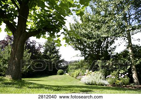 Stock Image - Trees in park . Fotosearch