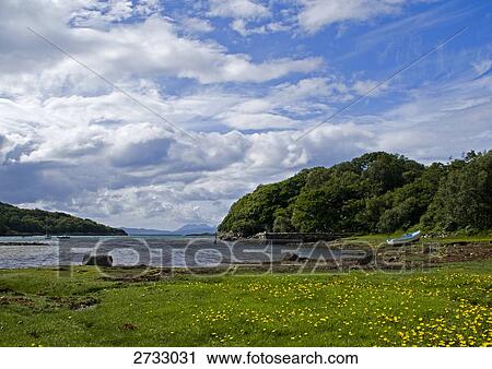 Trees on coast View Large Photo Image Stock Image - Trees on coast . Fotosearch