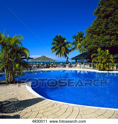 Stock Image - tropical swimming pool . Fotosearch