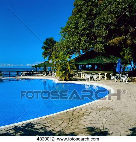 Stock Image - tropical swimming pool . Fotosearch